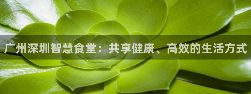 尊龙凯时代理能提出来不