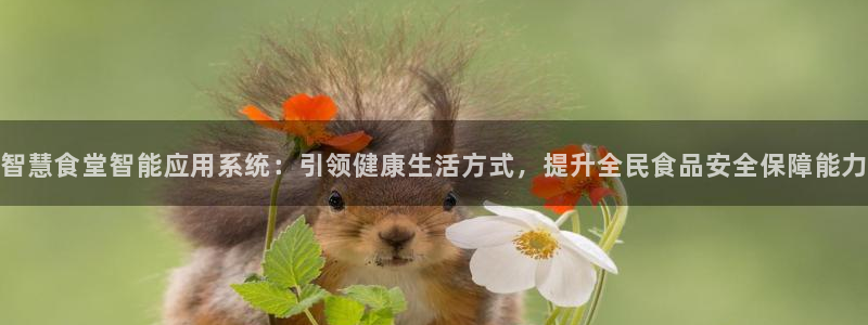 尊龙凯时网娱乐最新版