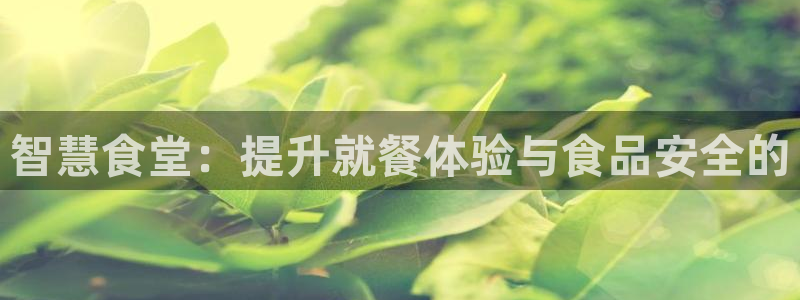 尊龙凯时平台还是万博好