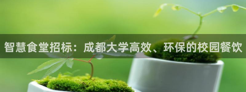 尊龙app登录不了