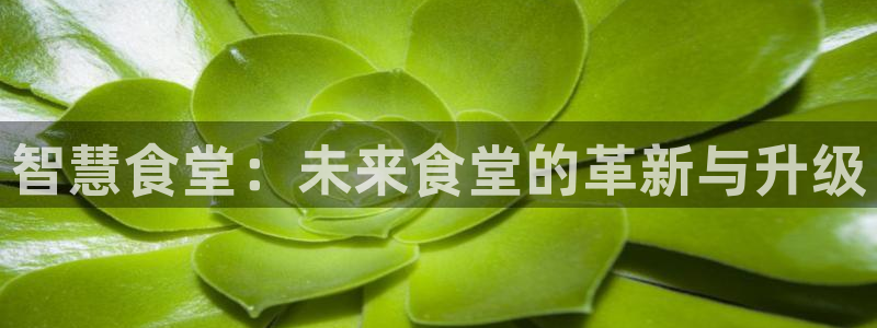 尊龙凯时提不了款