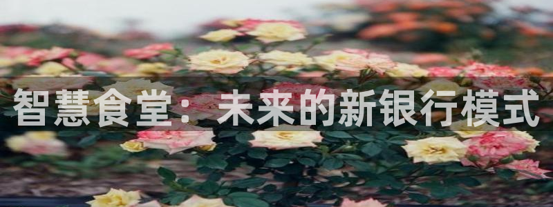 凯时k66娱乐登录