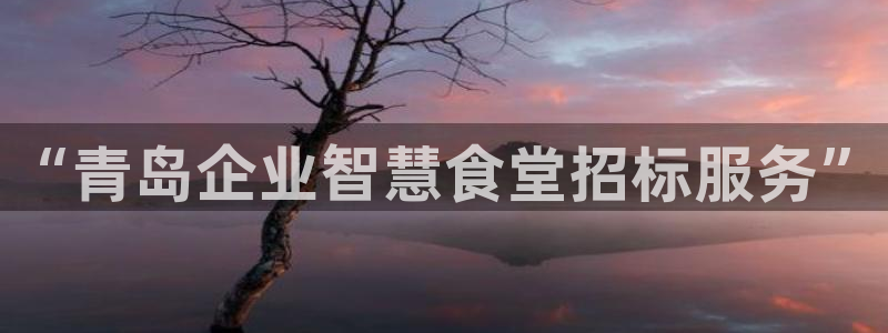 尊龙凯时有限公司