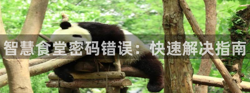 尊龙凯时能做退米么