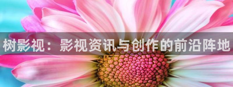 青青草原综合网：树影视：影视资讯与创作的前沿阵地