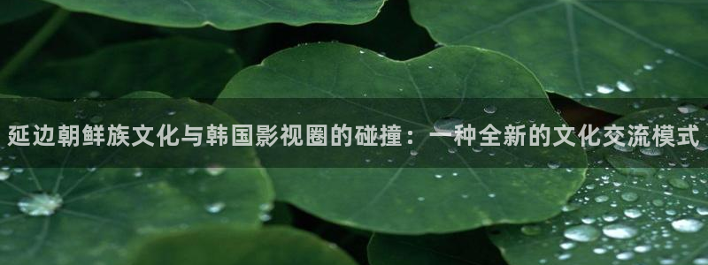 青青苹果影院：延边朝鲜族文化与韩国影视圈的碰撞：一种全新的文化交流模式
