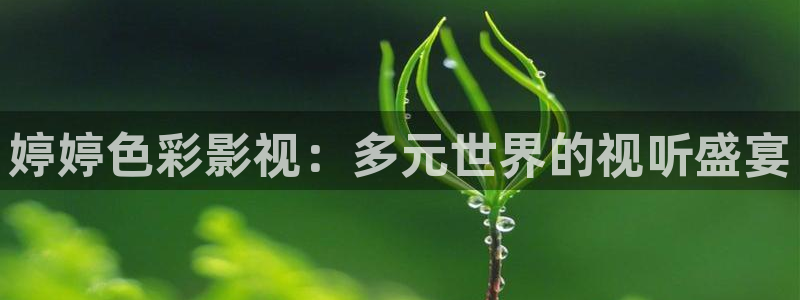 青青青免费在线：婷婷色彩影视：多元世界的视听盛宴